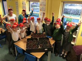 The children planted bulbs in pots and then left them on local doorsteps as an 